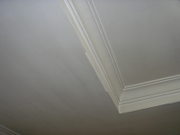 DSC02639.JPG