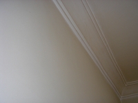 DSC02647.JPG