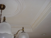 DSC02642.JPG